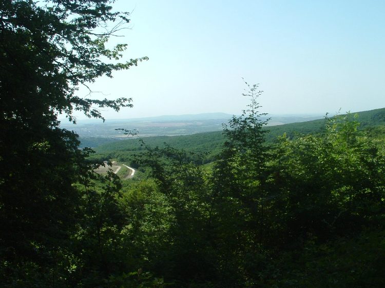 Mecsek - Úton a Jakab-hegyre 2.