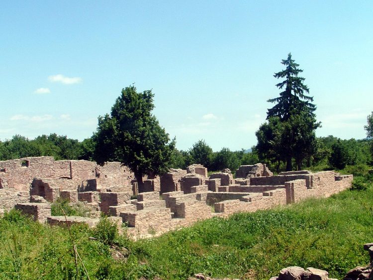 Mecsek - A Jakab-hegyen 1.