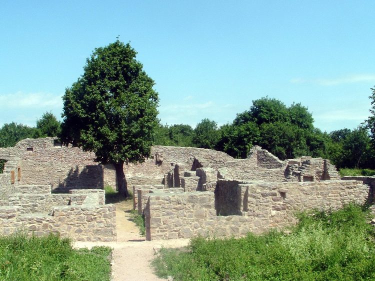 Mecsek - A Jakab-hegyen 2.