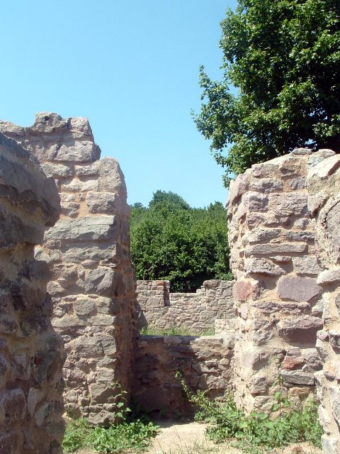 Mecsek - A Jakab-hegyen 3.