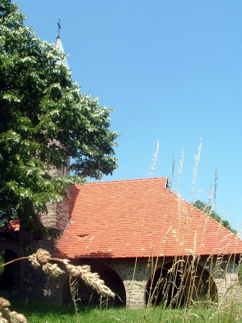 Mecsek - A Jakab-hegyen 5.