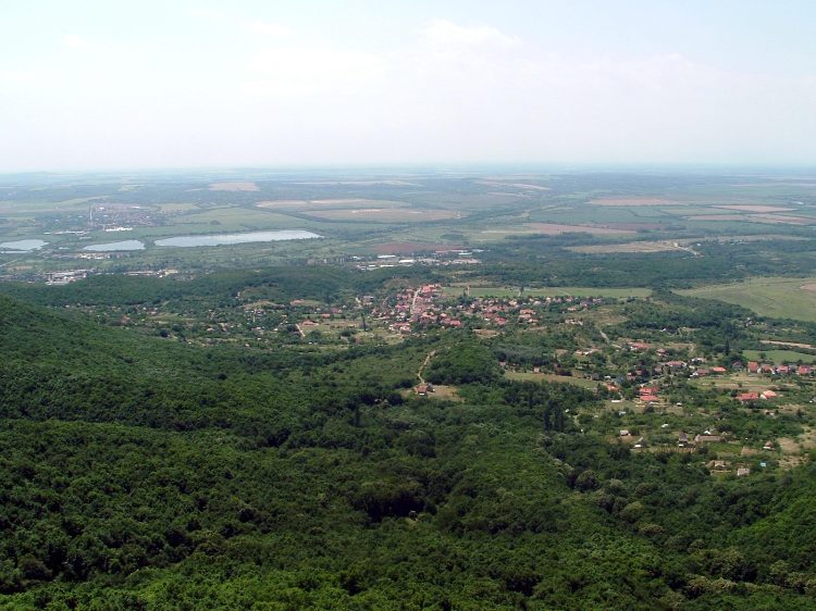 Mecsek - A Zsongor-kőnél 6.