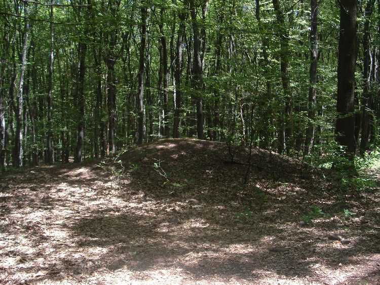 Mecsek - Mecsek - Abaliget felé 1.