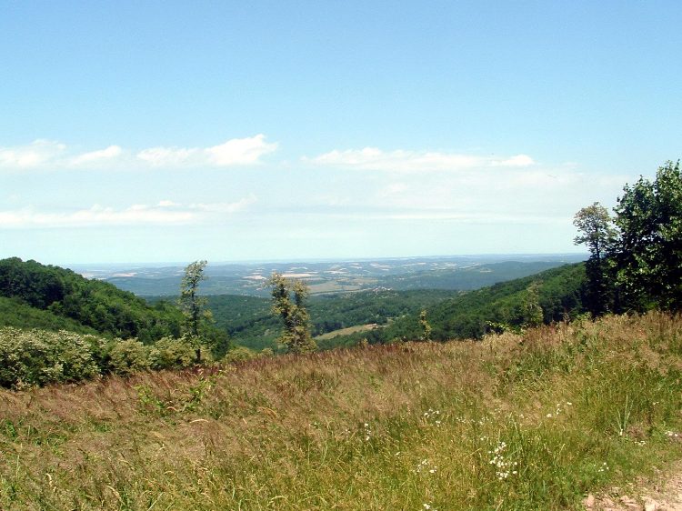 Mecsek - Mecsek - Abaliget felé 2.