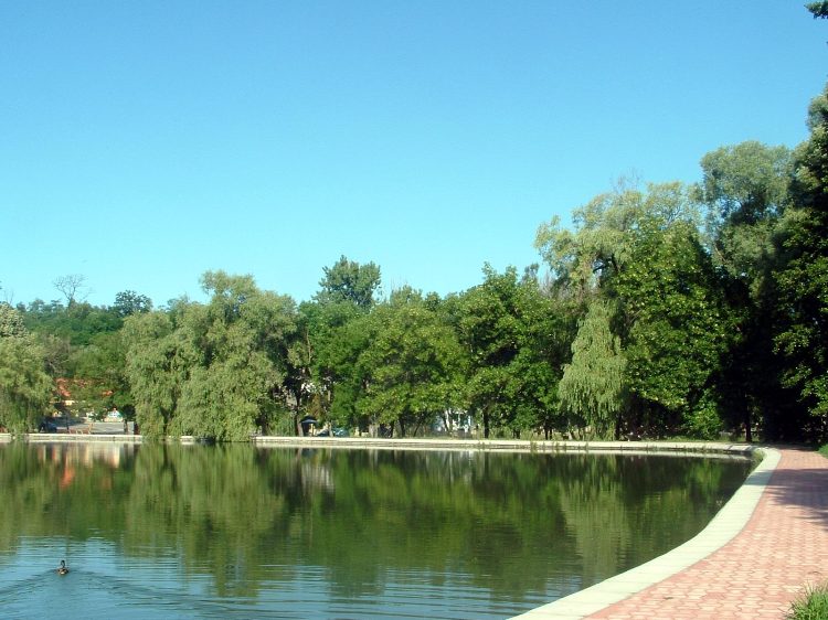 Mecsek - Abaliget 5.