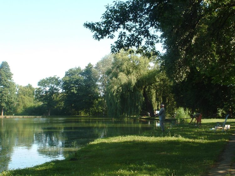 Mecsek - Abaliget 6.