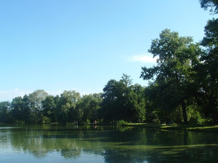 Mecsek - Abaliget 7.