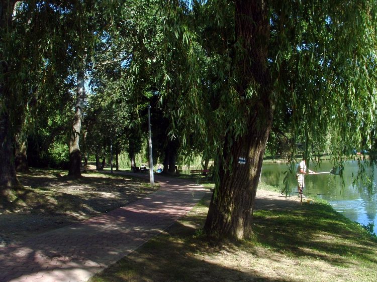 Mecsek - Abaliget 8.