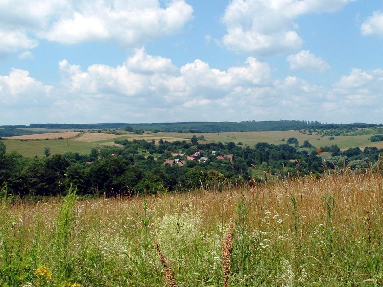 Zselic - Kilátás Karácodfára