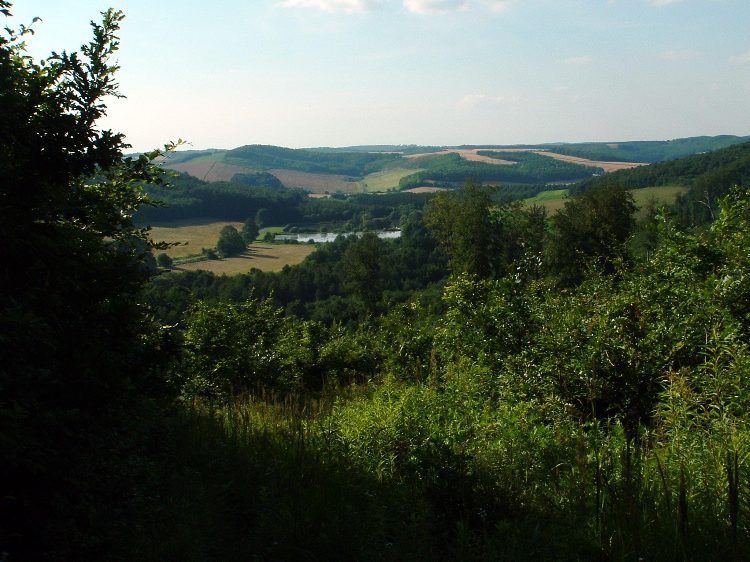 Zselic - Kilátás a Szágyi-víztárolóra
