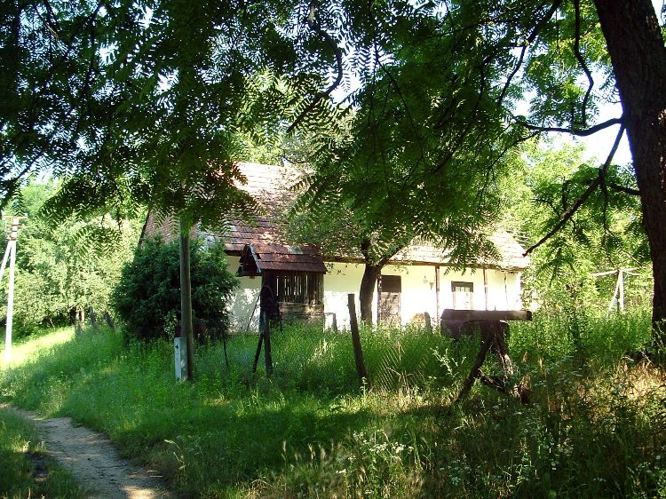 Zselic - Szabási házak (1)