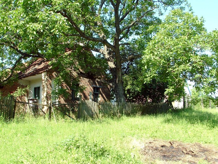 Zselic - Szabási házak (2)