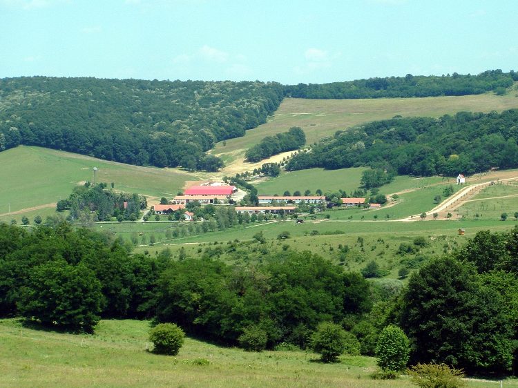 Zselic - Kilátás Kistótvárosra (2)