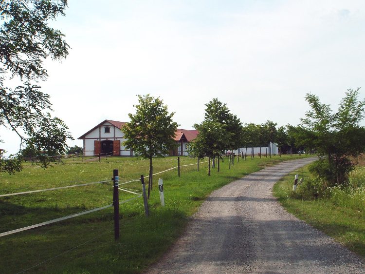 Zselic - Simonfai-puszta istállói