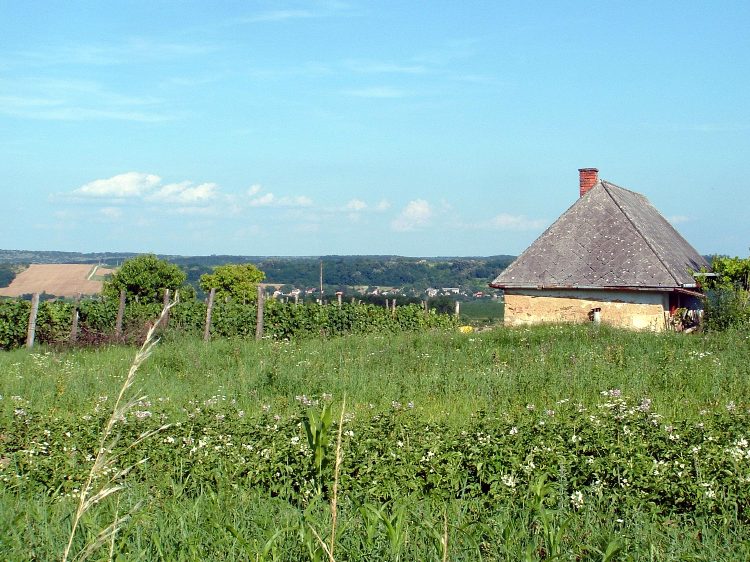 Zselic - A Nozsi-hegy tanyái között