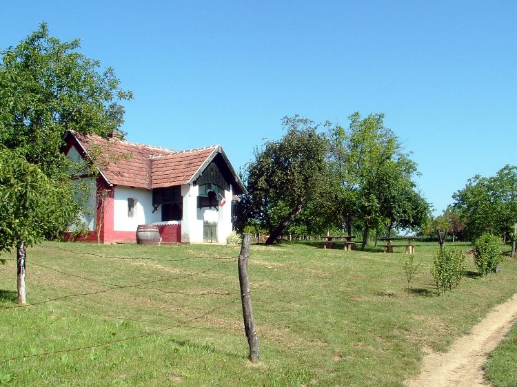 Zselic - Gondozott tanya Szenna felett a dombon