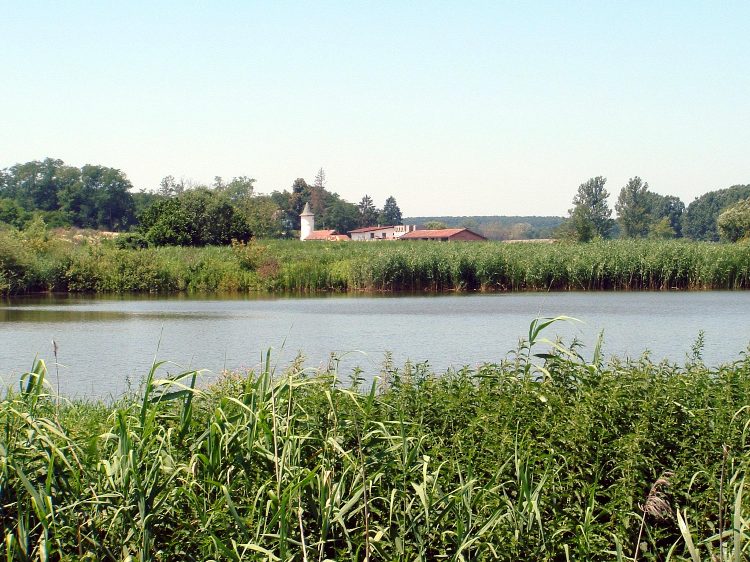 Zselic - A kaposmérői halastó partján (2)