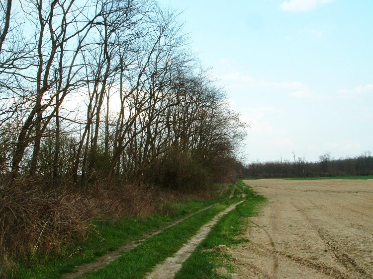Keréknyomokon Somogysárd felé