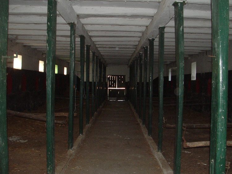 Somogysárd - A Somssich kastély egyik istállója belülről
