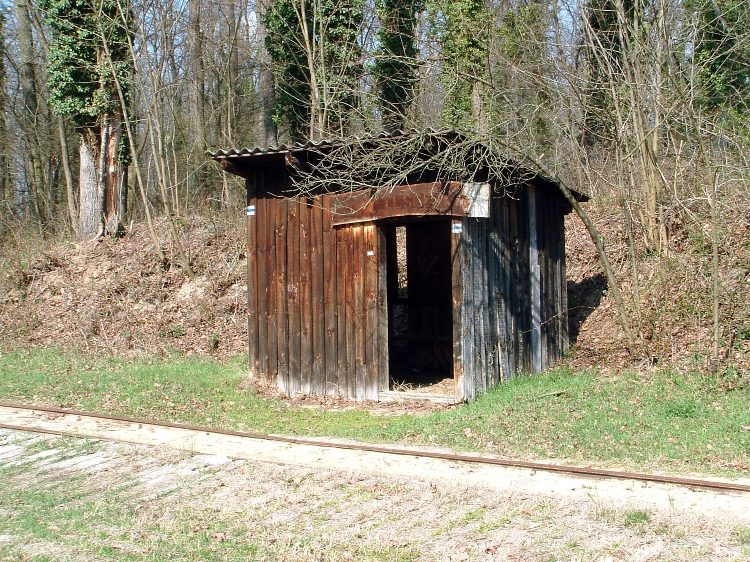 A Mesztegnyői Erdei Vasút Felsőkak végállomásán 3.