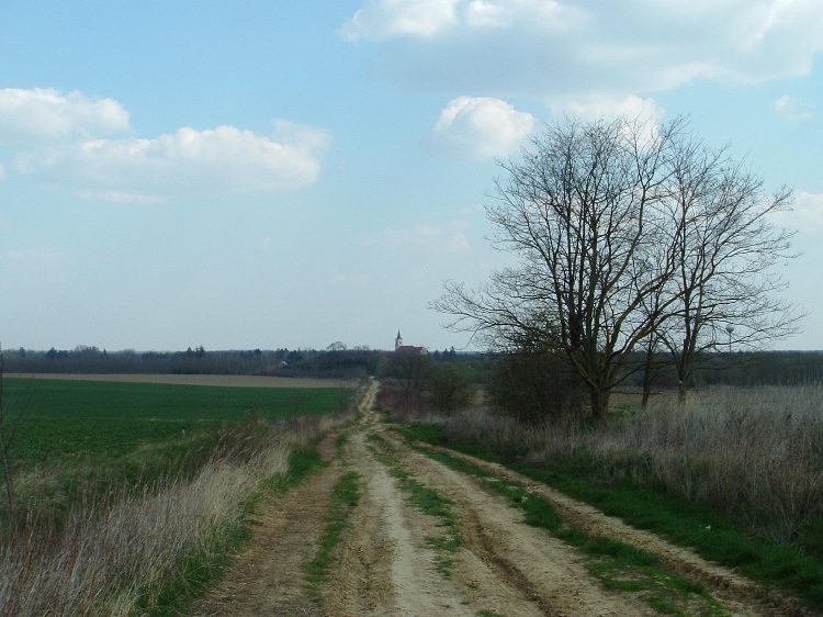 Visszapillantás Mesztegnyőre a mezei dülőútról