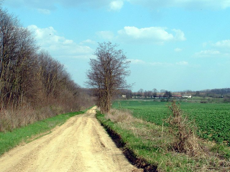 Illancsmajor épületei mellett halad el a dülőút