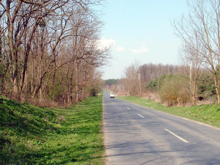 Országút szélén Somogysimonyi felé