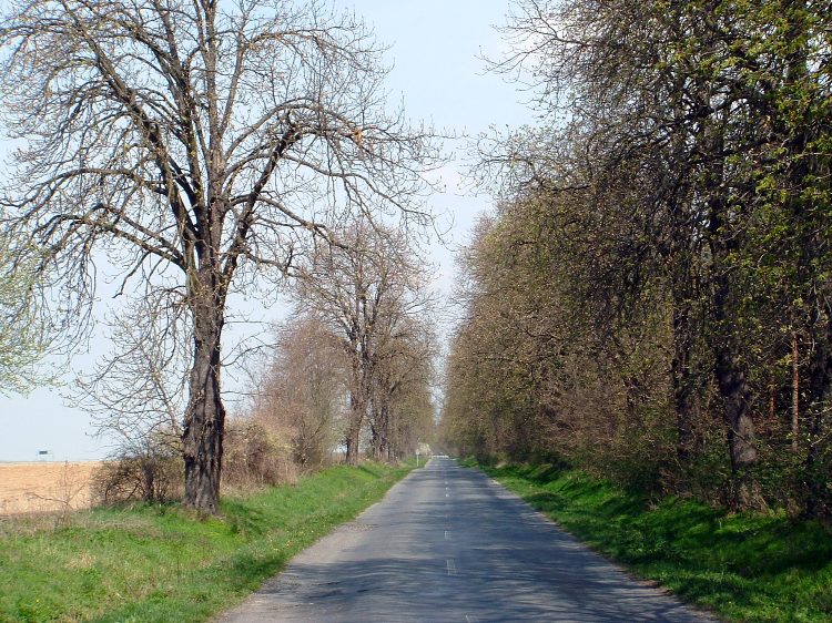 Hosszú aszfalttaposás Zalakomár felé