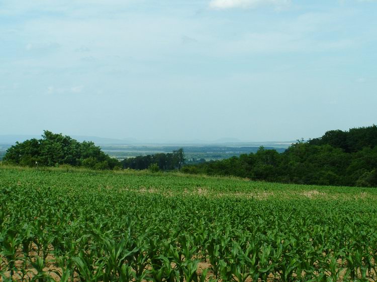 Az Öreg-hegyről is nyílt egy szűk kilátás a Balaton felé