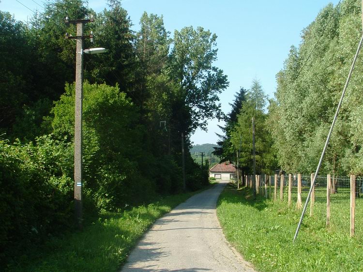 Megérkezés Nagybakónakra