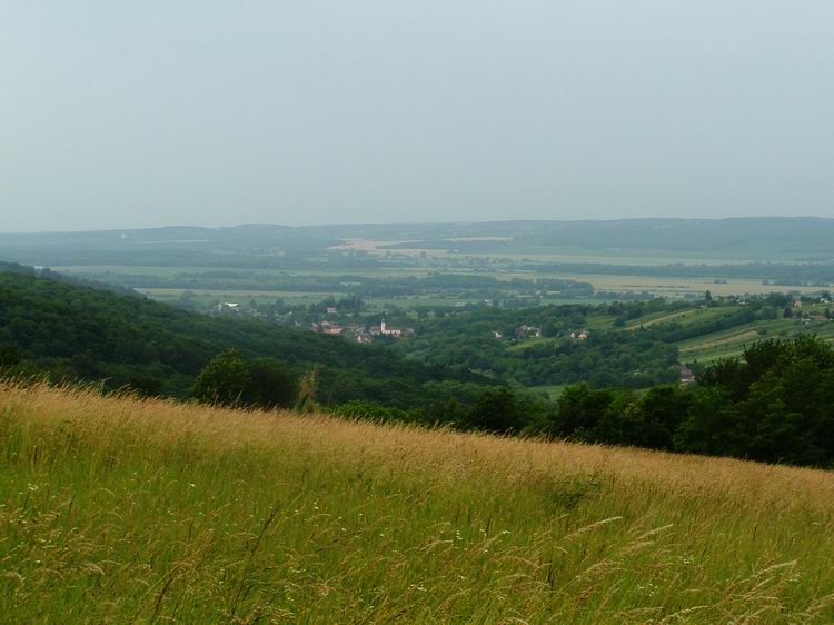 Kilátás Palinra a Dalas-hegyről
