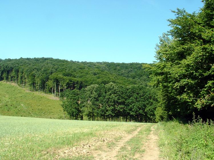 Fenn megláttam az előttem álló következő gerincet