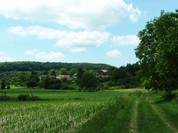 Megérkeztem Valkonyára