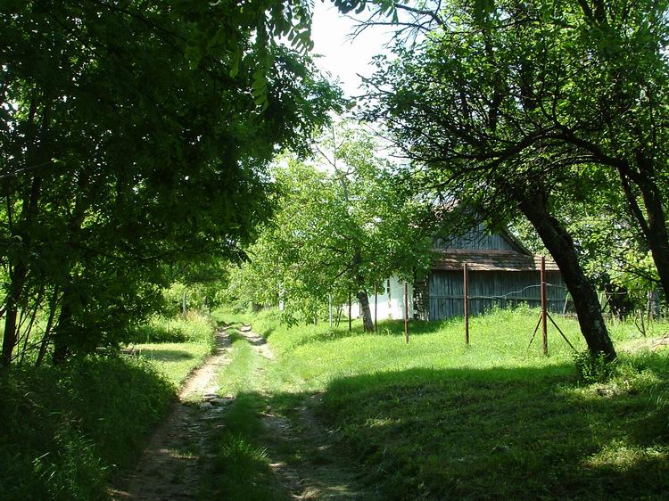 Megérkeztem a Lasztonya feletti zártkertek közé