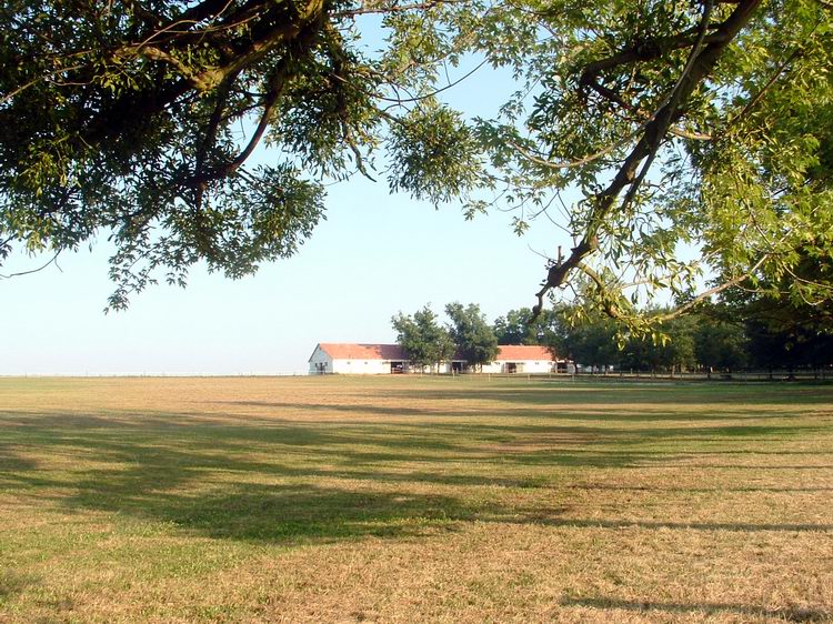 Istálló és legelő Görbőpusztán