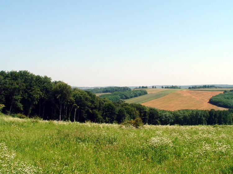 Kilátás a Csőszi-hegyről a szomszédos dombokra