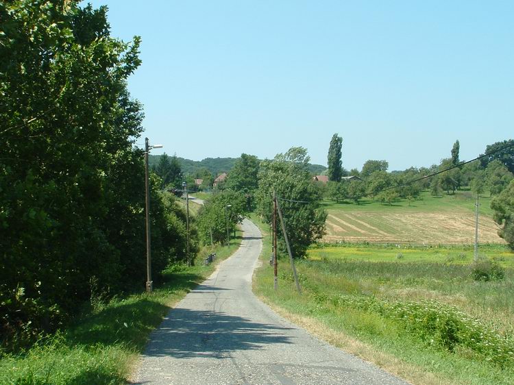 Aszfaltúton Győrfiszeg felé