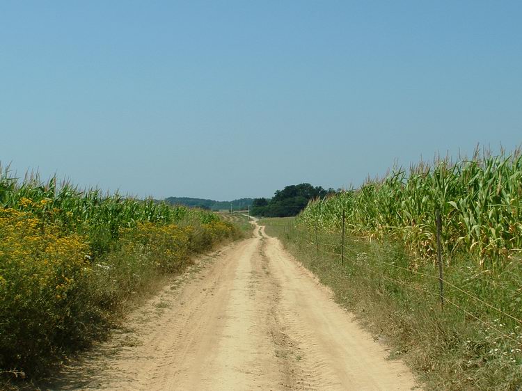 Mezőkön keresztül Barabásszeg felé