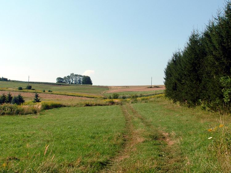 Kapaszkodás a Szabó-hegyre