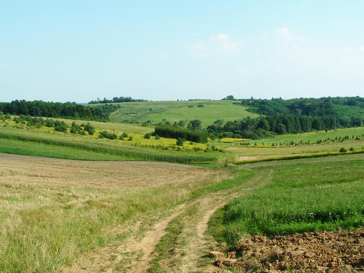 Visszapillantás a domboldalból a megtett útra