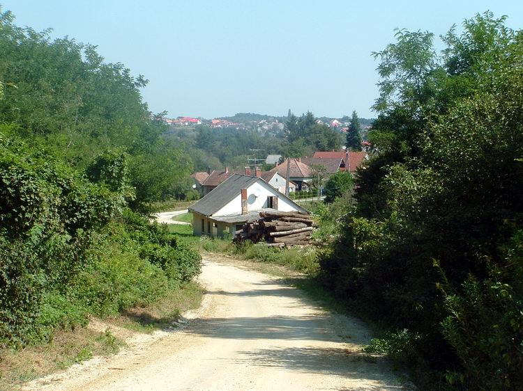 Zalalövő - Kezdődik a kaptató a Pacsa-hegyre