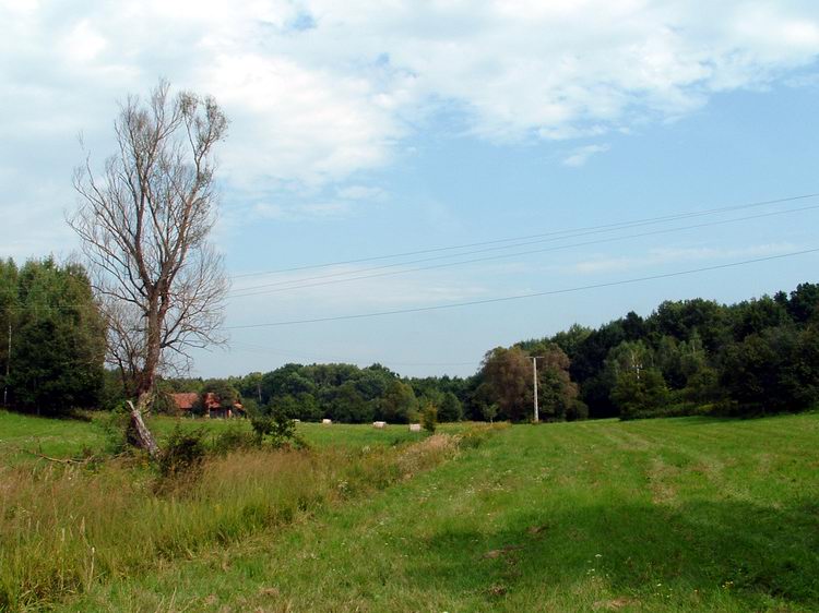 Pusztaszentpéter - Mezők választják el a házakat egymástól