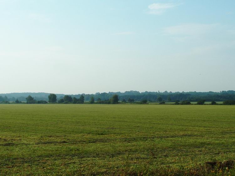 Mezők között