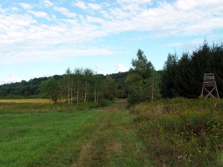 Füves keréknyomokon a Máli-réten