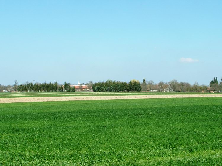 A mezőkön túl feltűnt Nagymizdó