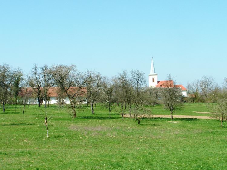 Búcsú Nagymizdótól