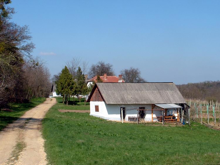 Szarvaskend - Szőlők és présházak között