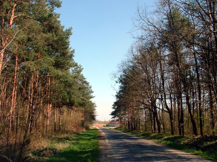 Országúton Döbörhegy felé 2.