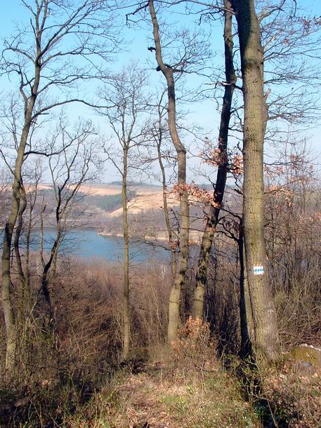 Visszatekintés a fák között a Szálkai-víztározóra a dombgerincről