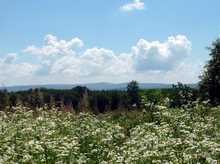 Visszatekintve a mezőkről feltűnt mögöttem már a Mecsek vonulata is